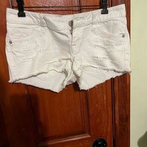 Low Rise Shorts